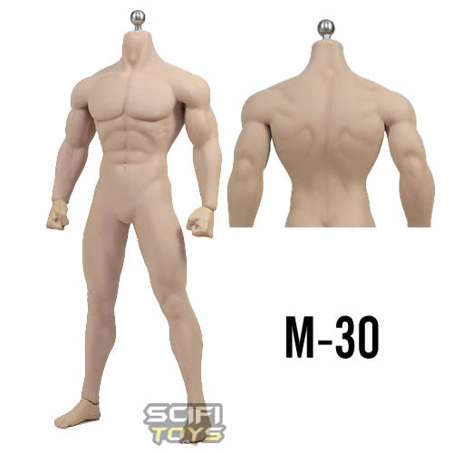 1/6 Scale Male Seamless Skeleton Muscle Body