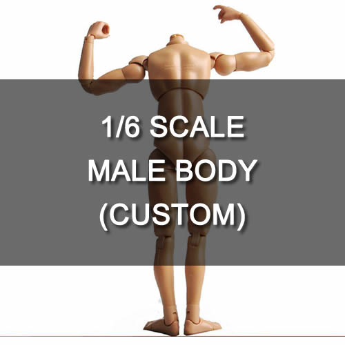 BD001~BD008 1/6 Male Muscle Body Standard Narrow Shoulders